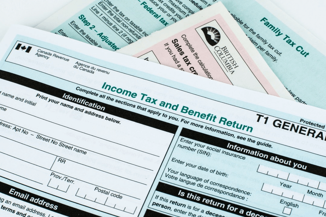 Taxpayer's Form (T1)